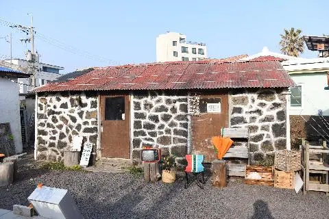 제주바이브 대표이미지