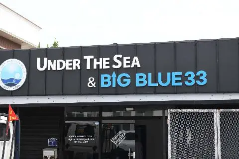 언더더씨 스쿠버다이빙 대표이미지