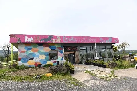 에코승마아카데미 대표이미지