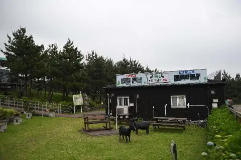 편백포레스트 사진