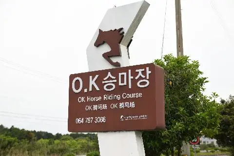 OK승마장 사진