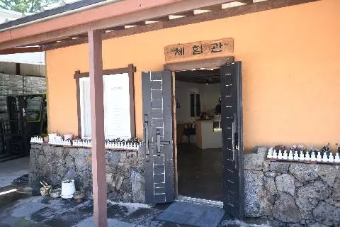 제주 샘주 사진