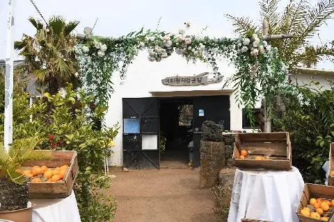 어린왕자감귤밭 대표이미지