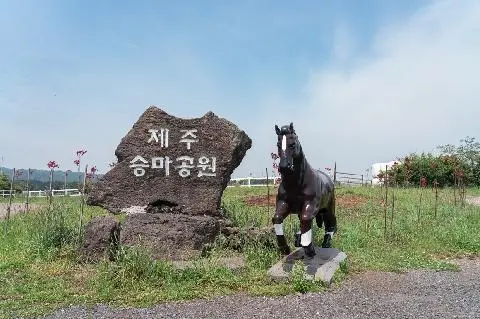 Jeju Horse Riding Park 