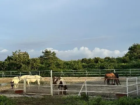 라이더스랩 대표이미지