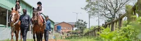 Jeju Horse Riding Park 