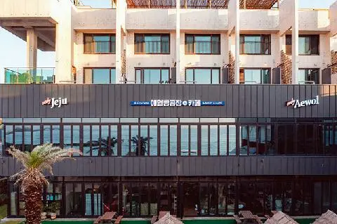 애월빵공장앤카페