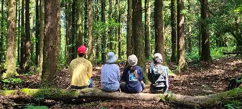 러닝홀리데이 인 제주 < Discover Jeju-자연체험> 대표이미지