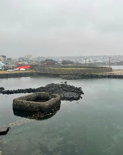 비짓제주 이벤트 참여하고 비행기 티켓 경품받자!