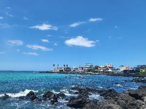 비짓제주 이벤트 참여하고 비행기 티켓 경품받자!