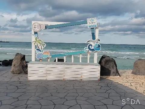 비짓제주 이벤트 참여하고 비행기 티켓 경품받자!