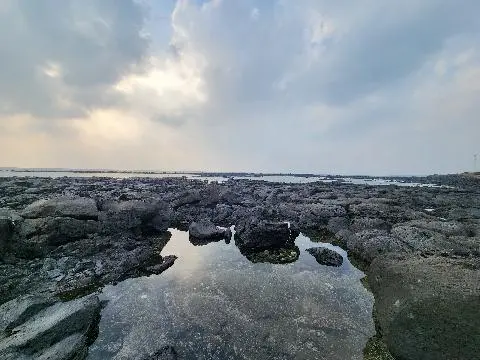 비짓제주 이벤트 참여하고 비행기 티켓 경품받자!