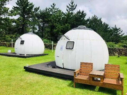 비짓제주 이벤트 참여하고 비행기 티켓 경품받자!