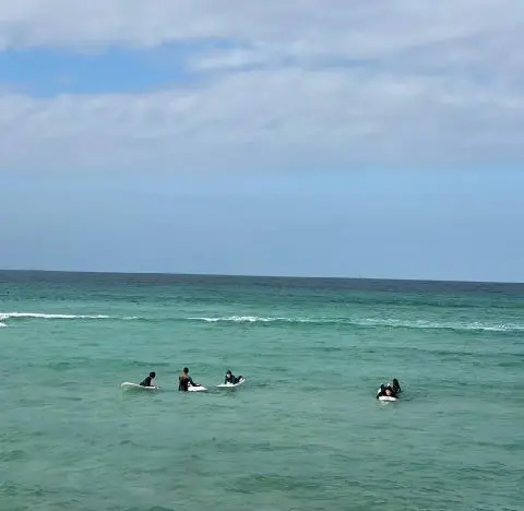 비짓제주 이벤트 참여하고 비행기 티켓 경품받자!