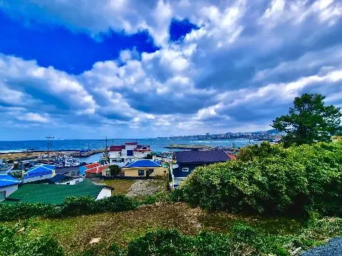 비짓제주 이벤트 참여하고 비행기 티켓 경품받자!