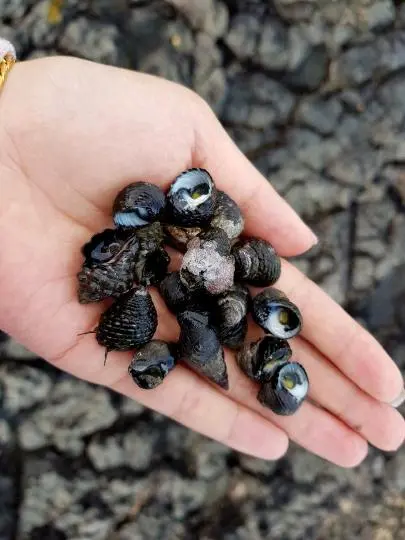 비짓제주 이벤트 참여하고 비행기 티켓 경품받자!