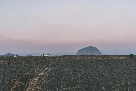 비짓제주 이벤트 참여하고 비행기 티켓 경품받자!