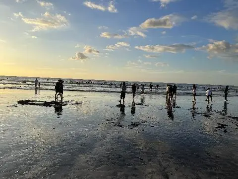 비짓제주 이벤트 참여하고 비행기 티켓 경품받자!