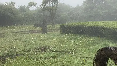 비짓제주 이벤트 참여하고 비행기 티켓 경품받자!