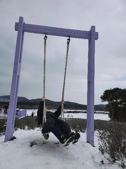 비짓제주 이벤트 참여하고 비행기 티켓 경품받자!