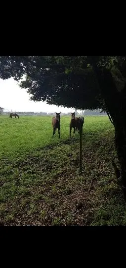 비짓제주 이벤트 참여하고 비행기 티켓 경품받자!