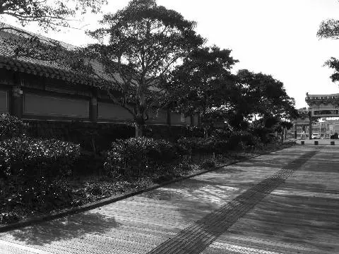 비짓제주 이벤트 참여하고 비행기 티켓 경품받자!