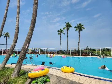 비짓제주 이벤트 참여하고 비행기 티켓 경품받자!