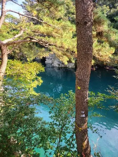 비짓제주 이벤트 참여하고 비행기 티켓 경품받자!