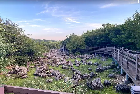 비짓제주 이벤트 참여하고 비행기 티켓 경품받자!