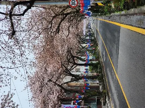 비짓제주 이벤트 참여하고 비행기 티켓 경품받자!