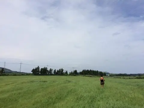 비짓제주 이벤트 참여하고 비행기 티켓 경품받자!