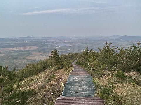 비짓제주 이벤트 참여하고 비행기 티켓 경품받자! 리뷰사진3
