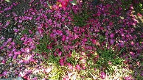 비짓제주 이벤트 참여하고 비행기 티켓 경품받자!