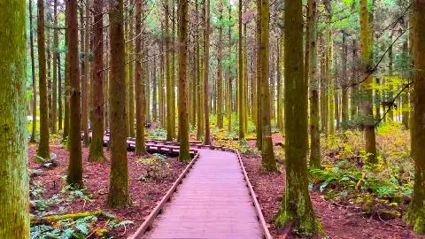 비짓제주 이벤트 참여하고 비행기 티켓 경품받자!