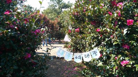 비짓제주 이벤트 참여하고 비행기 티켓 경품받자! 리뷰사진5