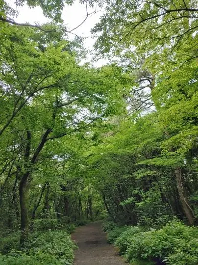 비짓제주 이벤트 참여하고 비행기 티켓 경품받자!