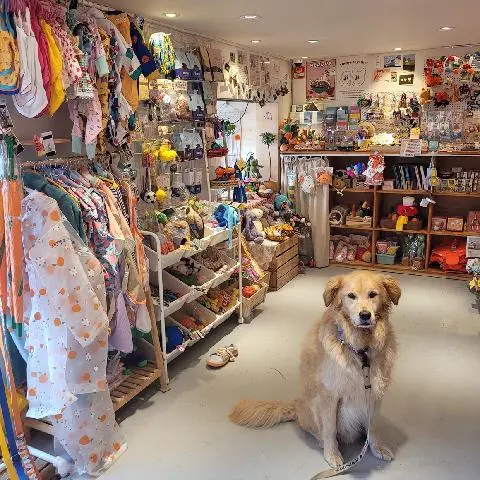 춘식이와옥희 대표이미지