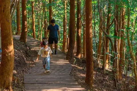 가을을 담다  <서귀포 마을산책, 대륜동>  대표이미지