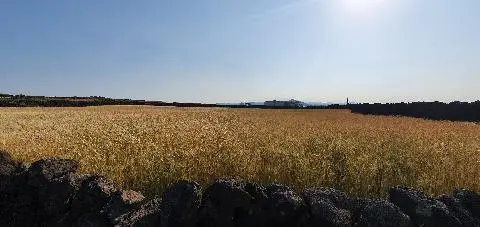 비짓제주 댓글 이벤트 참여하고 경품받자!