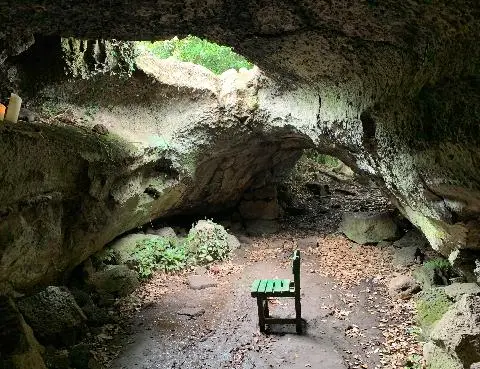 Bee Cave 대표이미지