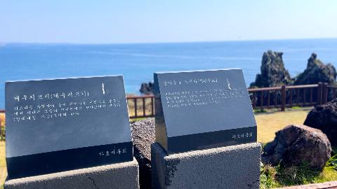 게우지코지 리뷰사진2