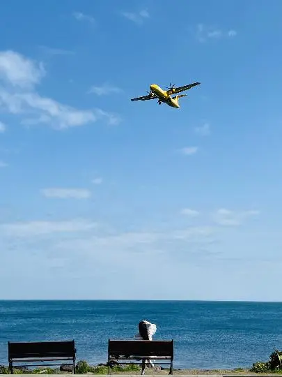 제주올레 17코스