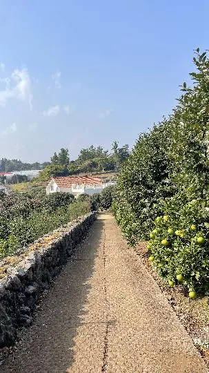 동백포레스트 리뷰사진4