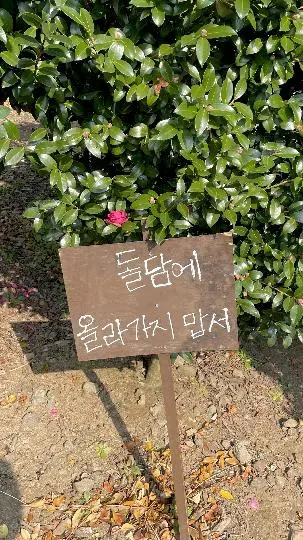 동백포레스트 리뷰사진5