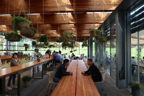 오설록티뮤지엄