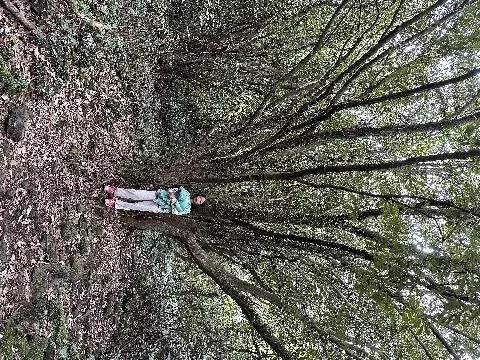 제주곶자왈도립공원