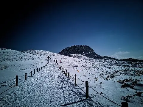 비짓제주 댓글 이벤트 참여하고 경품받자!