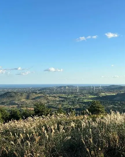 다랑쉬오름(월랑봉) 리뷰사진4