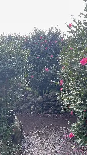 동백포레스트 리뷰사진3