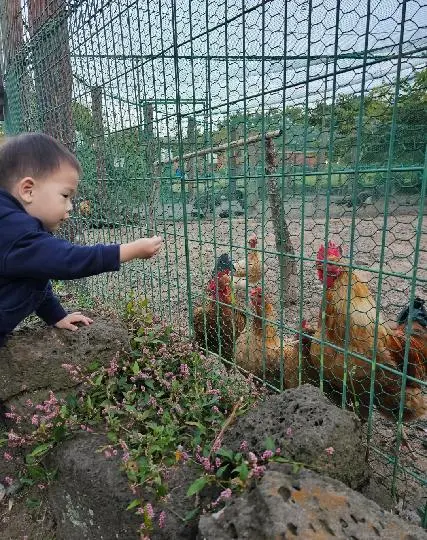 제주민속촌 리뷰사진2